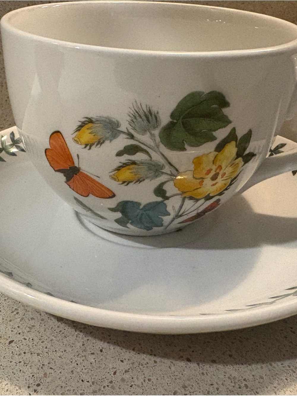 Portmeirion Botanic Garden Jumbo Tea Cup Saucer Orange Butterfly 🌼 Yellow Flower